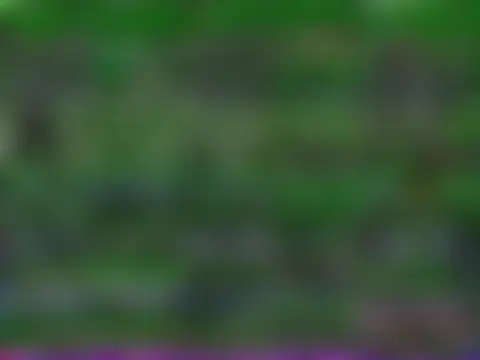 VixenCapri's Webcam Show