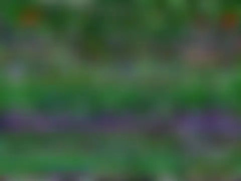 VixenCapri's Webcam Show