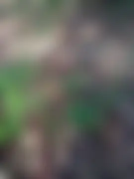 i_fatme's Live Sex Cam Show