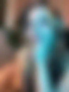 gorexchid's Webcam Show