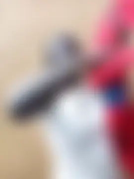 holygrail001's Webcam Show