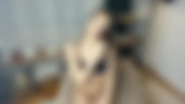 SerrenaAa's Live Sex Cam Show