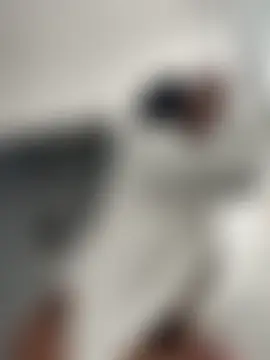 Your_Paris' Webcam Show