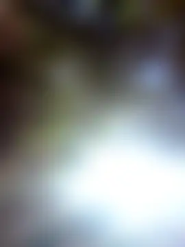 Labellasex's Webcam Show