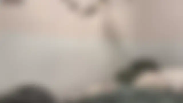 LoveInAllHoles' Live Sex Cam Show