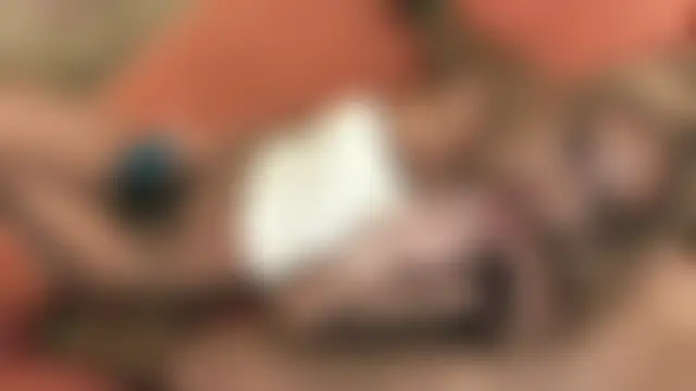 2lust's Live Sex Cam Show