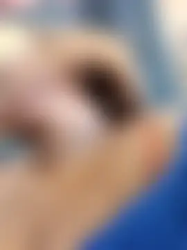 Bootyliciousbbw12's Webcam Show