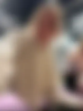 SMELLSEX's Live Webcam Show