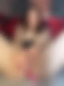 -SweetDi-'s Live Sex Cam Show