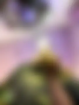 BigFineSelena's Webcam Show