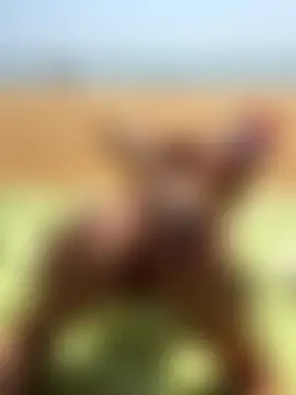 Lady_Liaa's Webcam Show