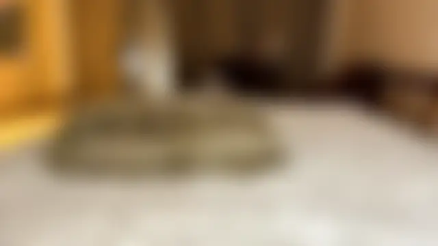 DreamyOlivia's Live Sex Cam Show