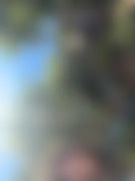 sweetsirenn's Live Sex Cam Show