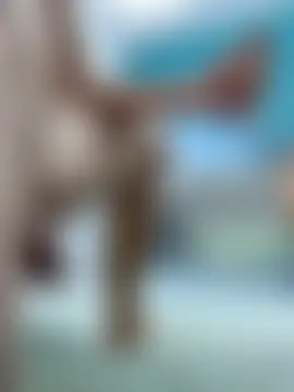 Alexxhab's Live Sex Cam Show