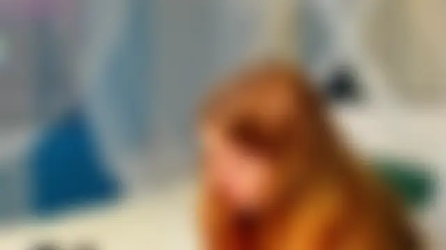 Eva__Lewis' Live Sex Cam Show