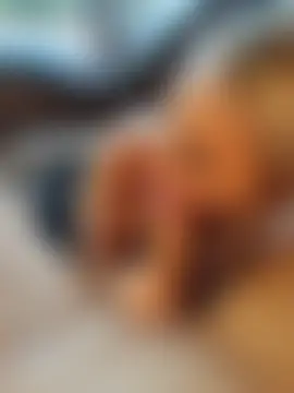 MissLMrJ's Live Sex Cam Show