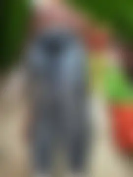 Miia_Jazmin's Webcam Show