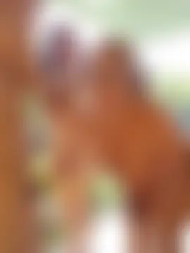 anita1976's Webcam Show