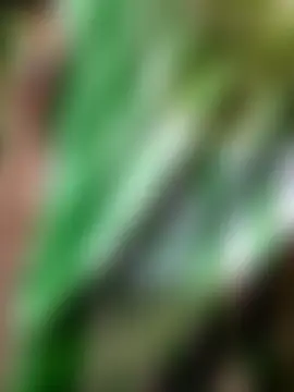 TheBriiaand30's Webcam Show