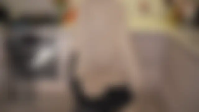 Vassiilisa's Live Sex Cam Show