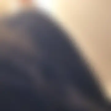 KittyWhispers' Webcam Show