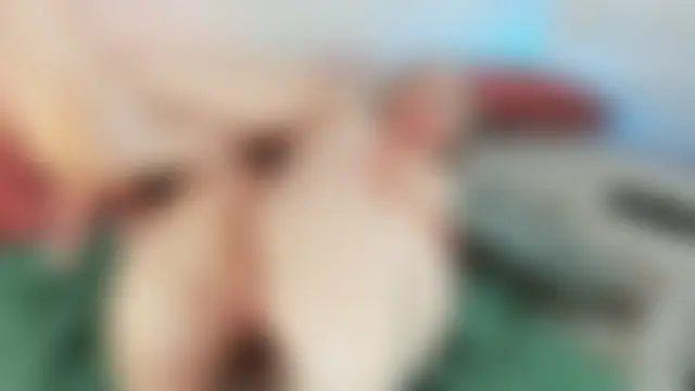 lil_shouty_bitch's Live Sex Cam Show