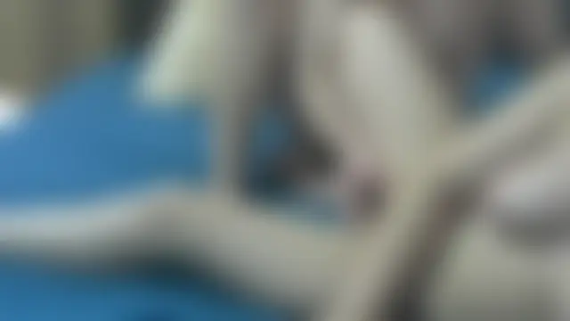 swallow_taboo's Live Sex Cam Show