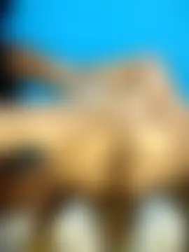 Sexy_dolls' Webcam Show