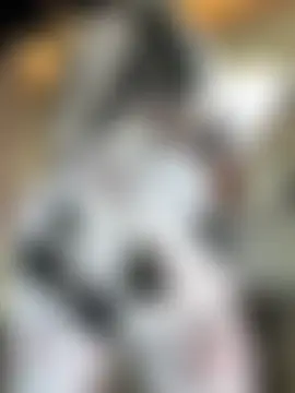 Rizos_hot_official's Webcam Show