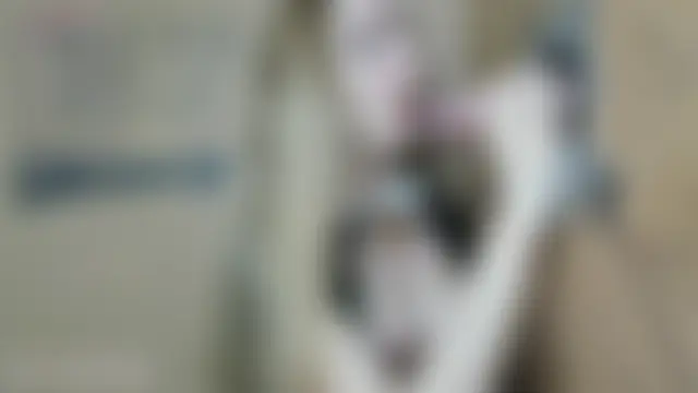 petrovaAnn's Live Sex Cam Show