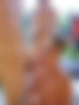 anita1976's Webcam Show