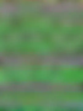 Throatgoat2026's Live Sex Cam Show