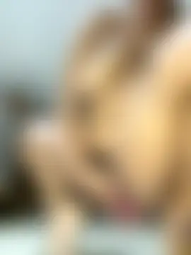 Boneca25's Webcam Show