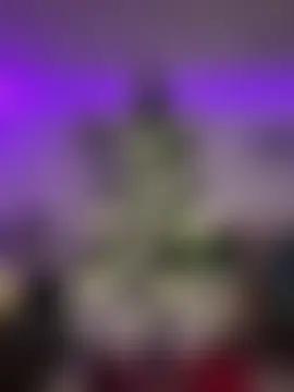 IsabellaEtha's Live Sex Cam Show