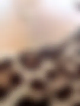 AngelinaTeller's Live Sex Cam Show