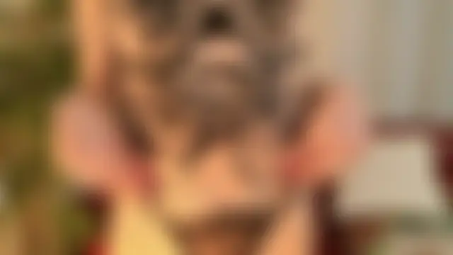 MollyXoXo's Webcam Show