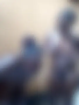 Broan_me's Webcam Show