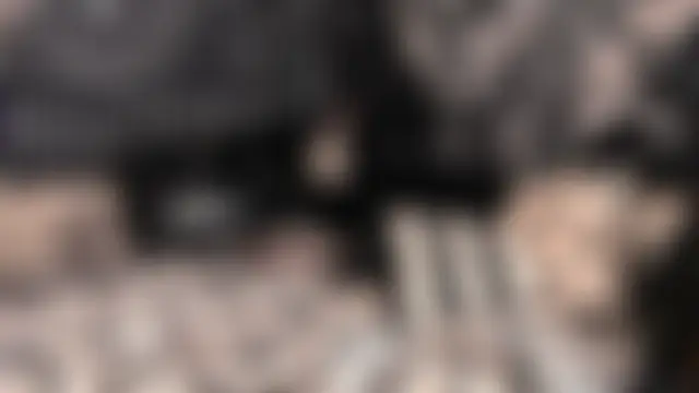 Paige_Turner's Webcam Show