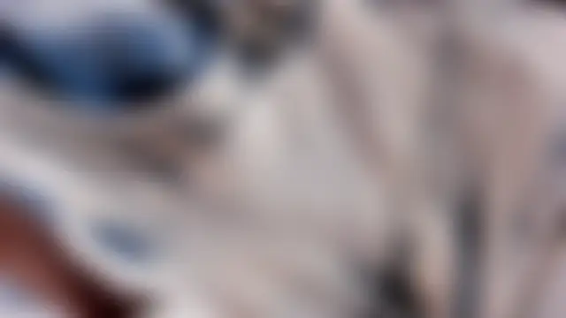 Miya_Nika's Webcam Show