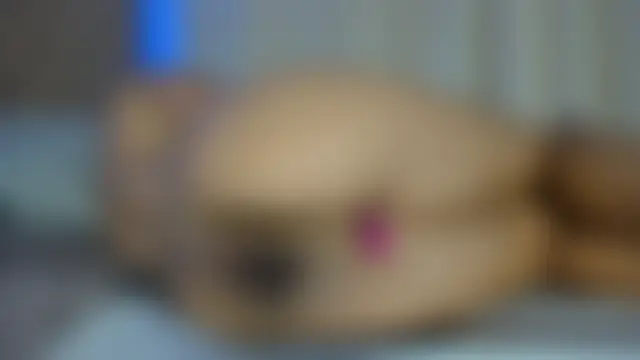 Salytexas' Live Sex Cam Show