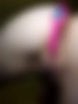 AmethystFoxx's Live Sex Cam Show