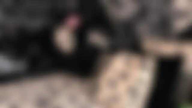 Paige_Turner's Webcam Show