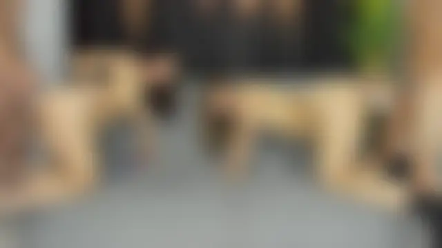 hotsatisfactionGGH's Webcam Show