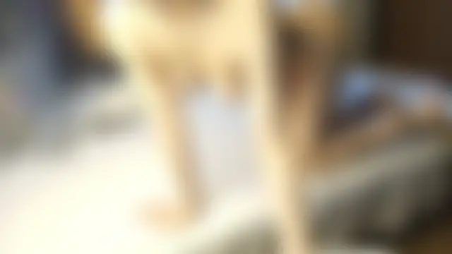 melissalem1's Live Sex Cam Show