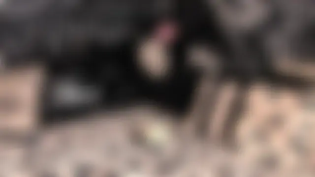 Paige_Turner's Webcam Show