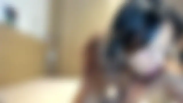 heavenngirlyy444's Webcam Show