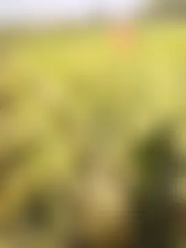 hornycouple20000's Live Sex Cam Show