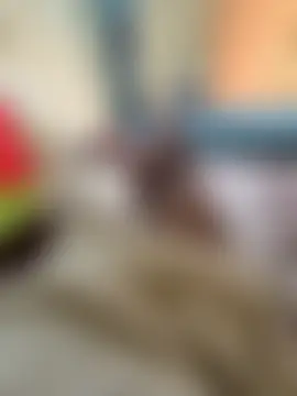 Jaaan668 Pertunjukan Webcam