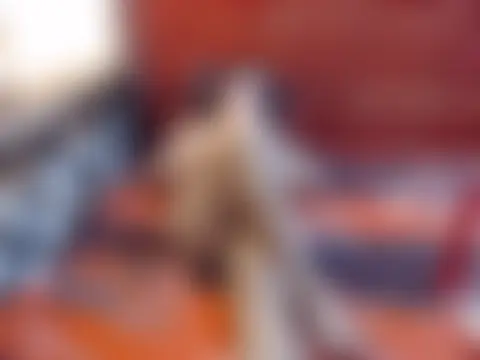 Hottygail69 Adlı Modelin Canlı XXX Sohbeti