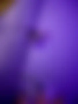 Colibri_Centaura élő XXX-chatje